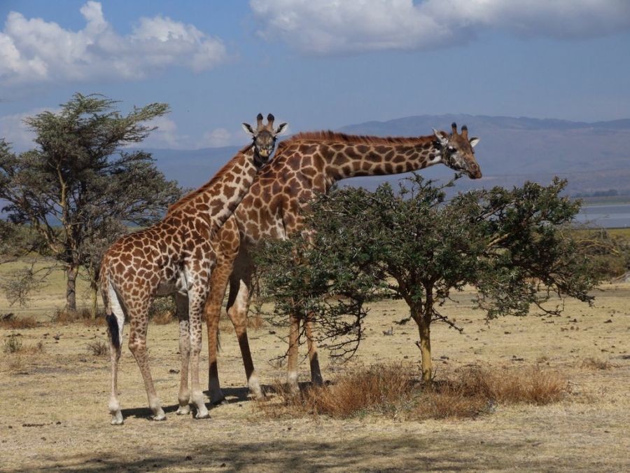 Me And My Mum On Masai Mara, Kenya.jpg