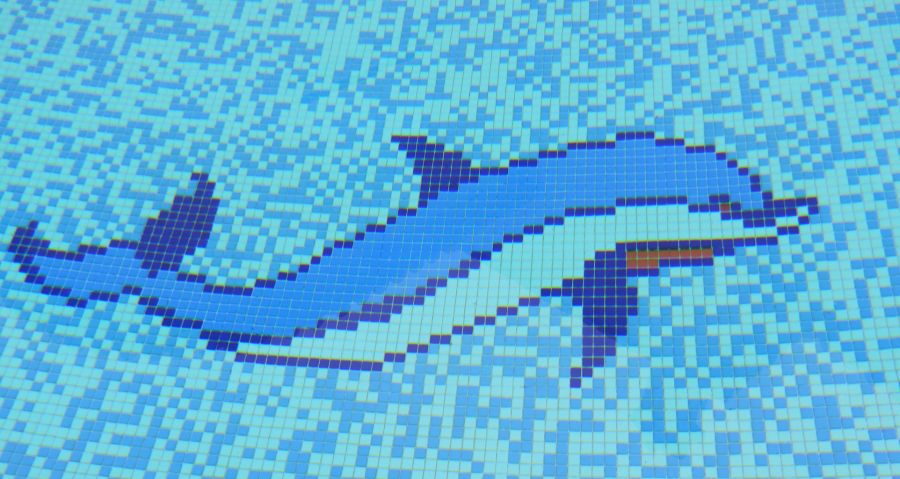 Pool Dolphin.jpg