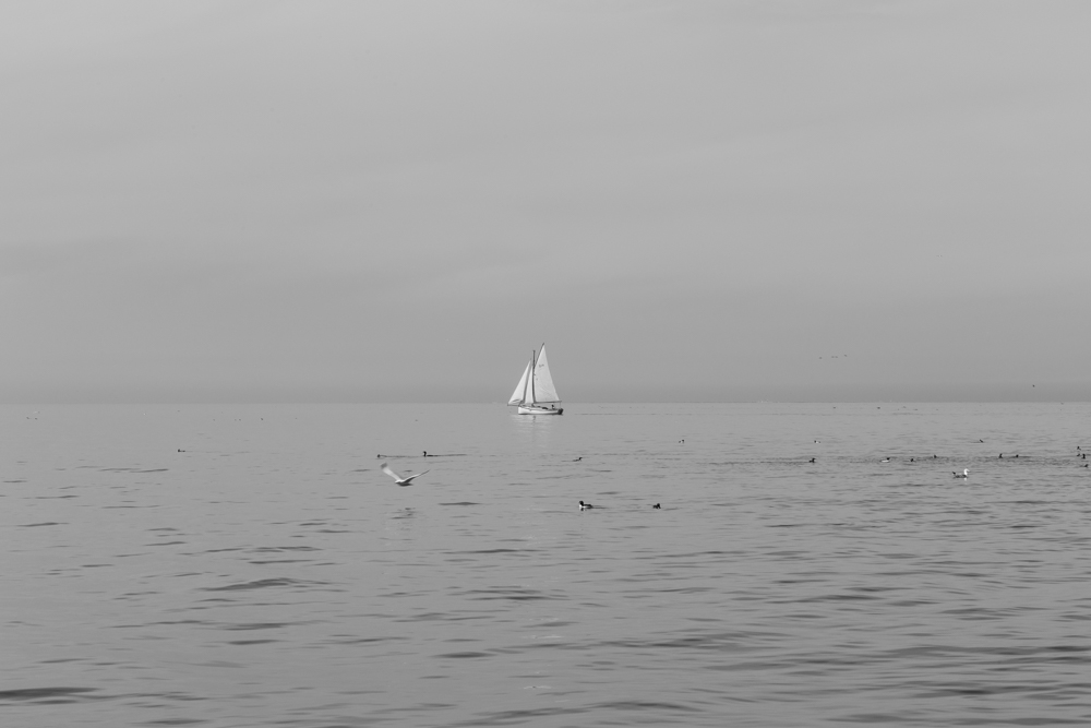 Sailing By.jpg