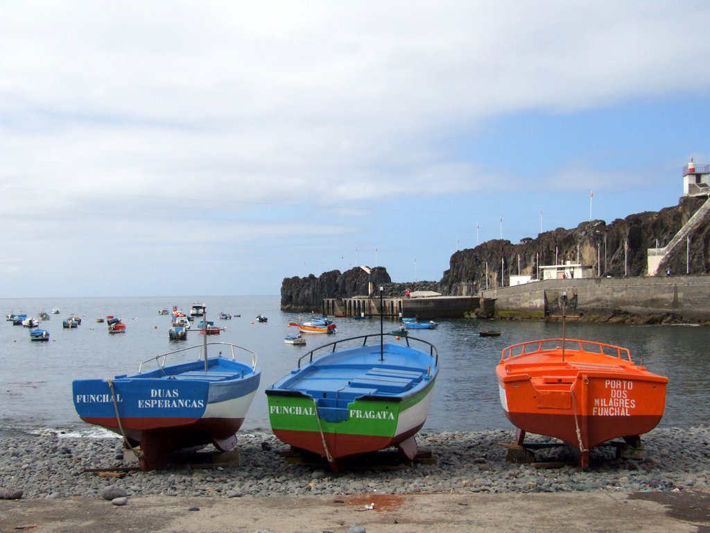Small boats in Maderia.jpg