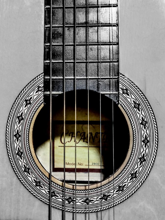 The-Guitar.jpg