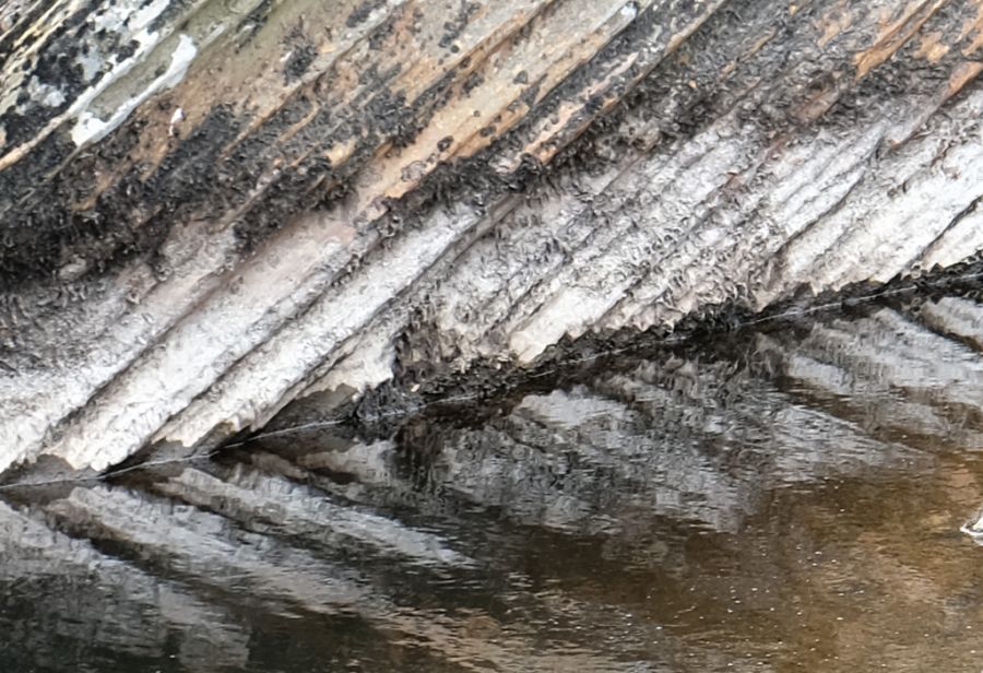 Rock Reflection.jpg