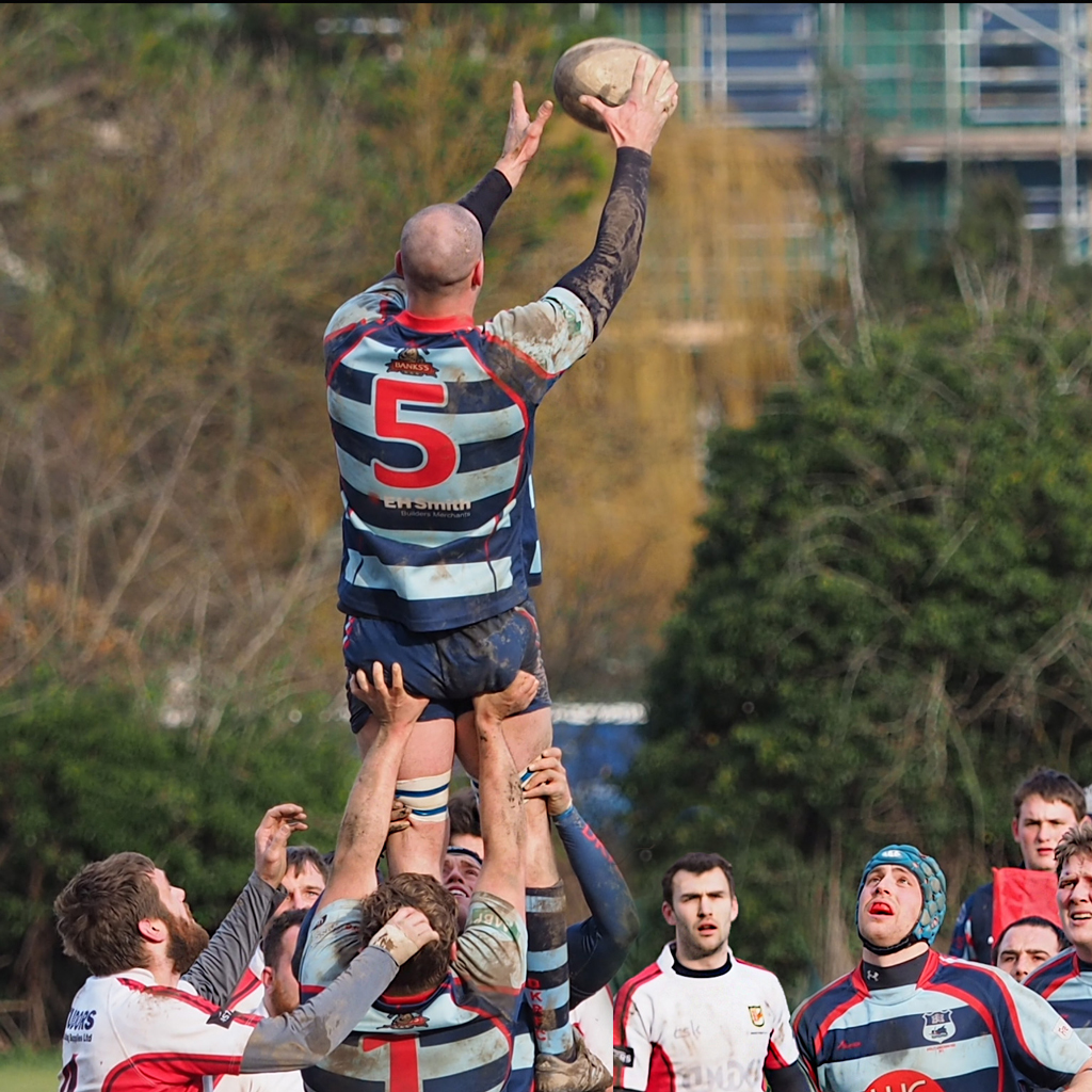 The-Lineout.jpg