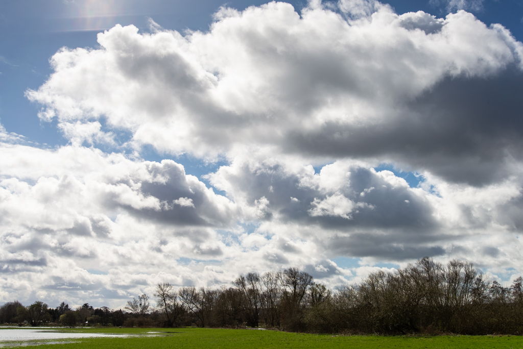 Lugg Meadows.jpg