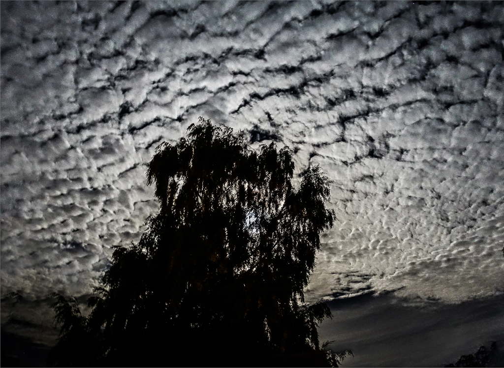 Night Clouds.jpg