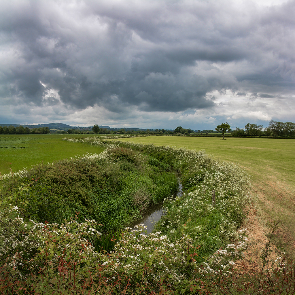 Storm clouds approaching.jpg