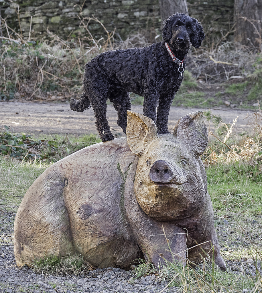 piggyback ride.jpg