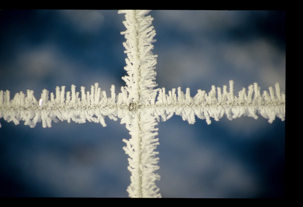 Hoar Frost.jpg