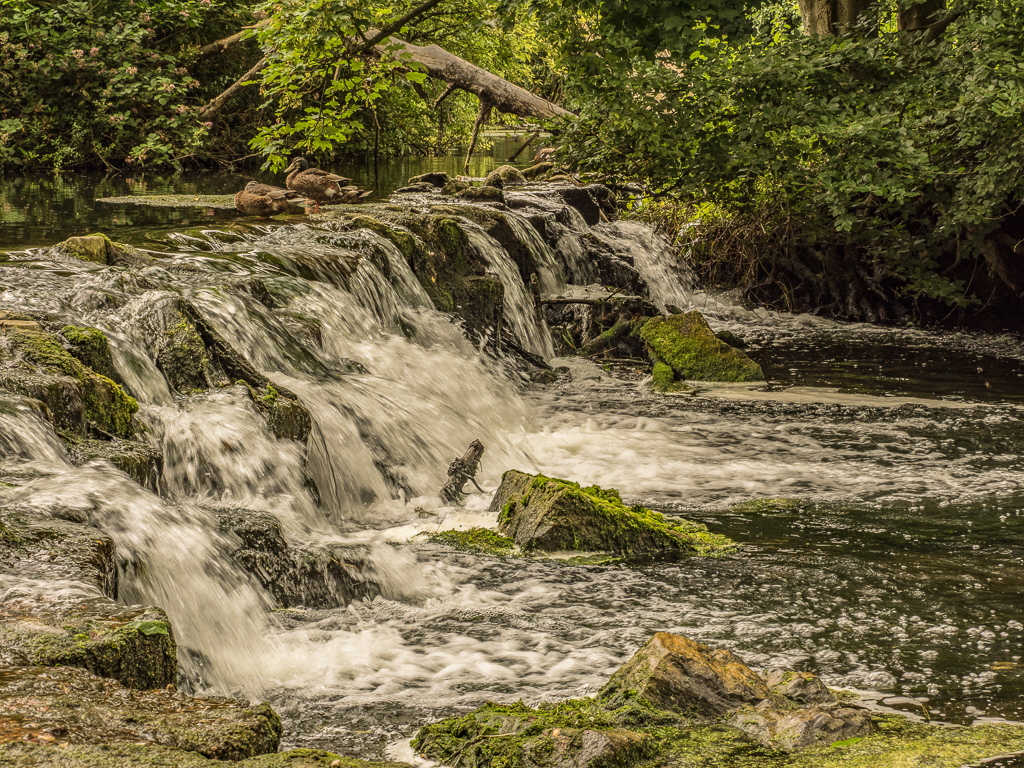 Clumber Park mini waterfall _1 of 1_.jpg