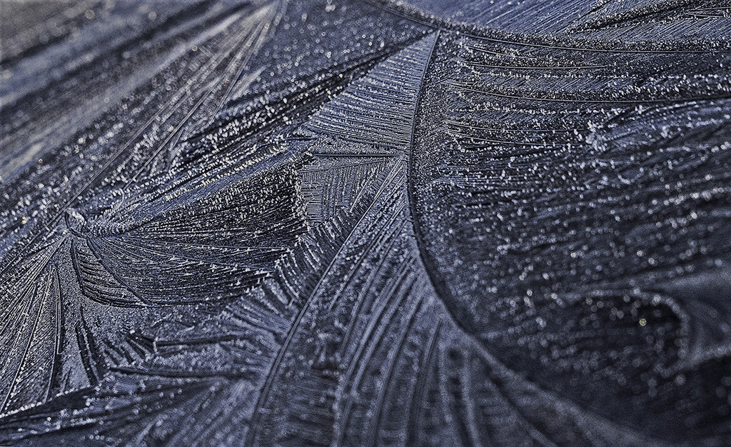 Early morning,Autumn Frost patterns on a car roof.jpg