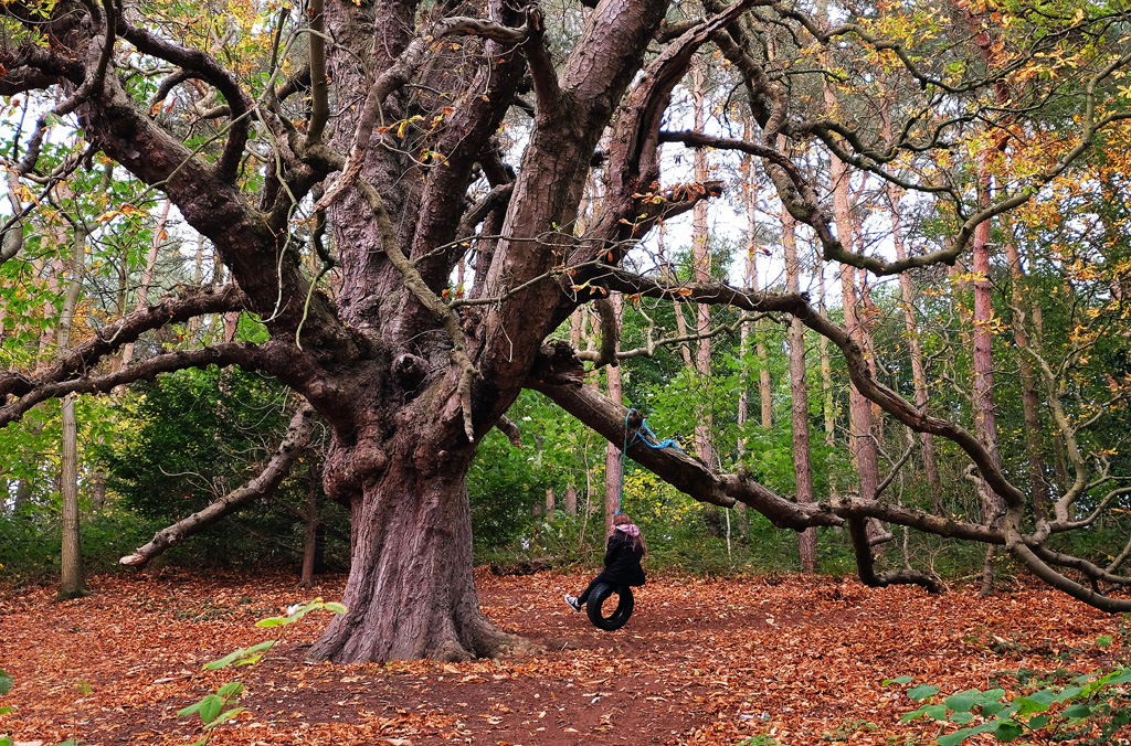 small girl big tree.jpg