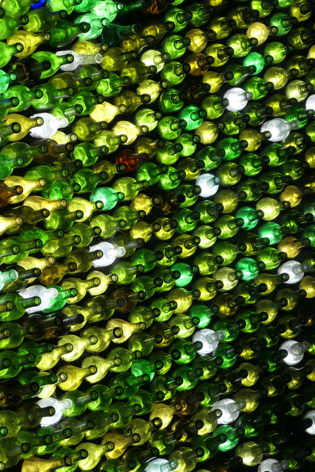 Bottles Galore.JPG