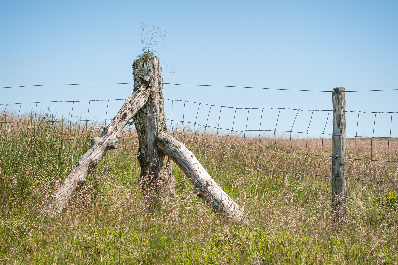 Old Post New Fence.jpg