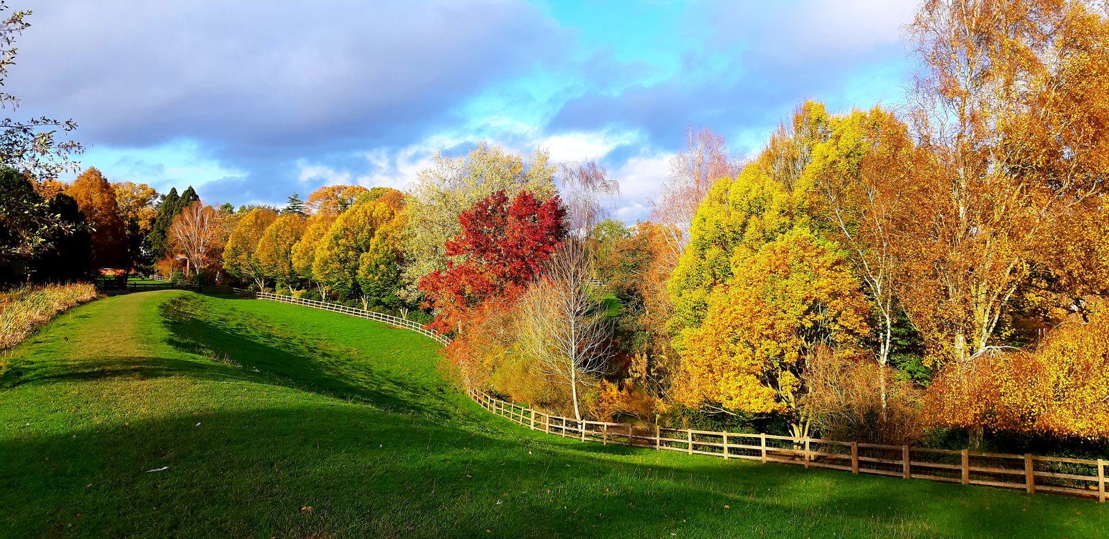 Bodenham Arboretum.jpg