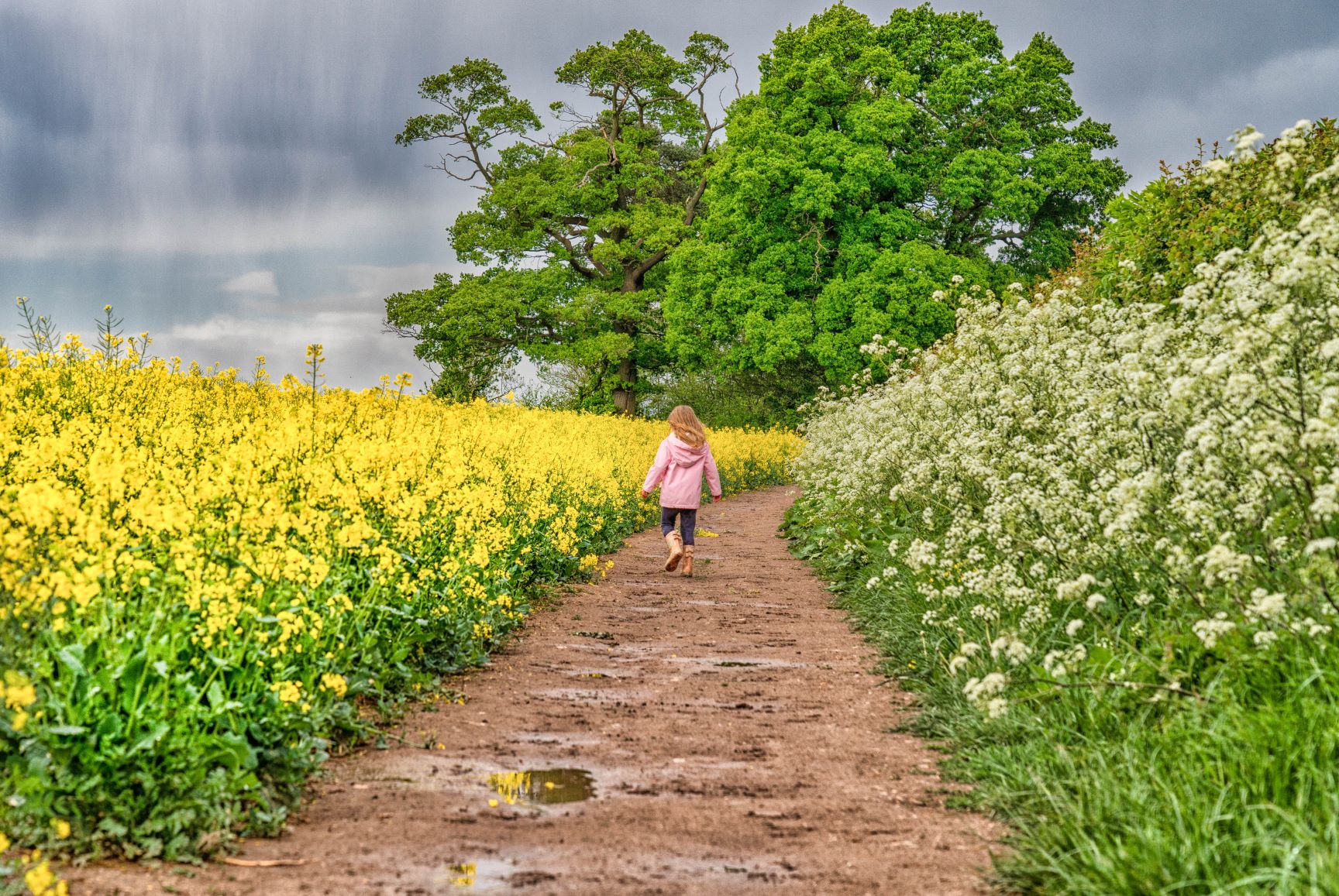 Rainy Day Lockdown _1_ Walk. April 2020..jpg