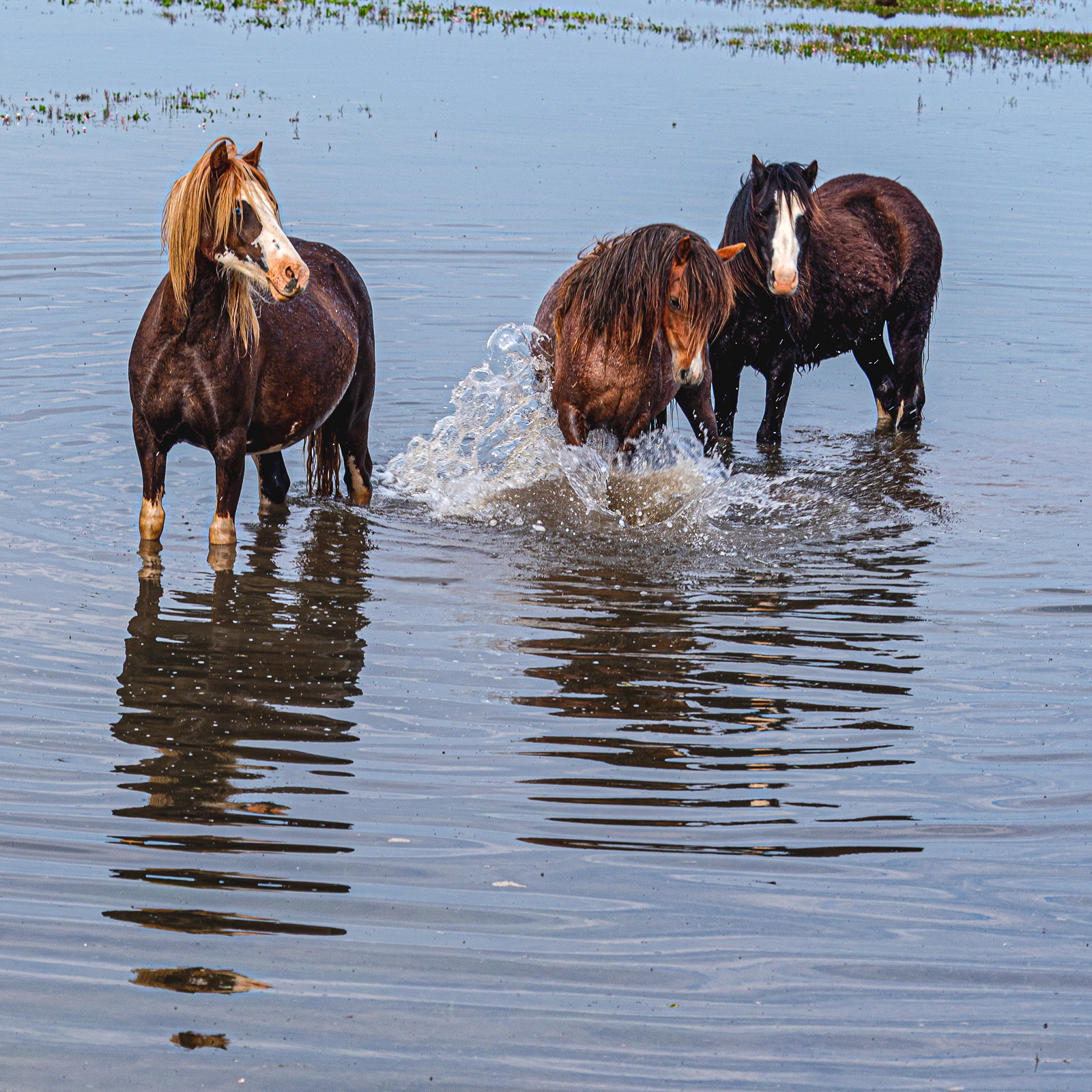 Cooling off-.jpg