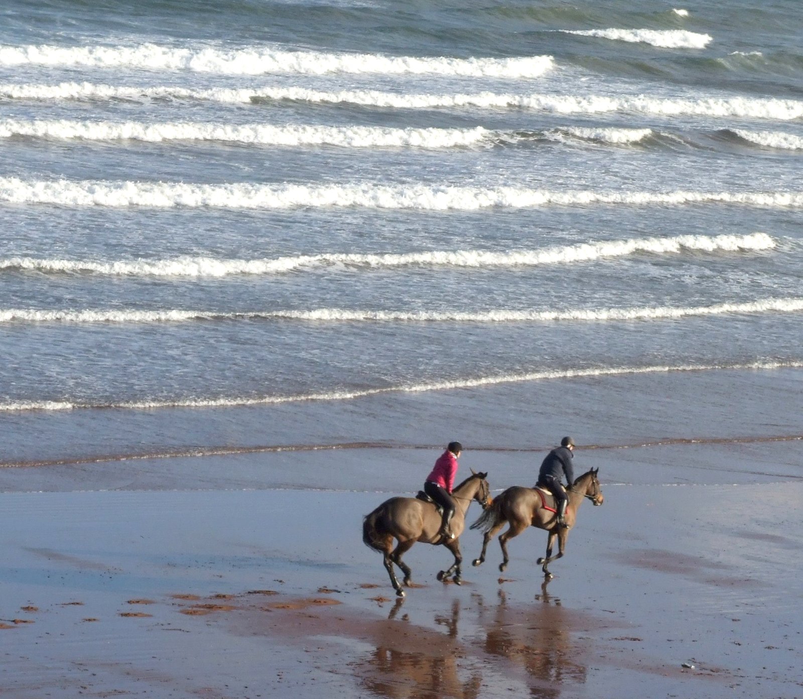 Cantering along the seafront.jpg