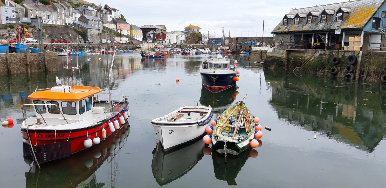 Cornish fishing boats.jpg