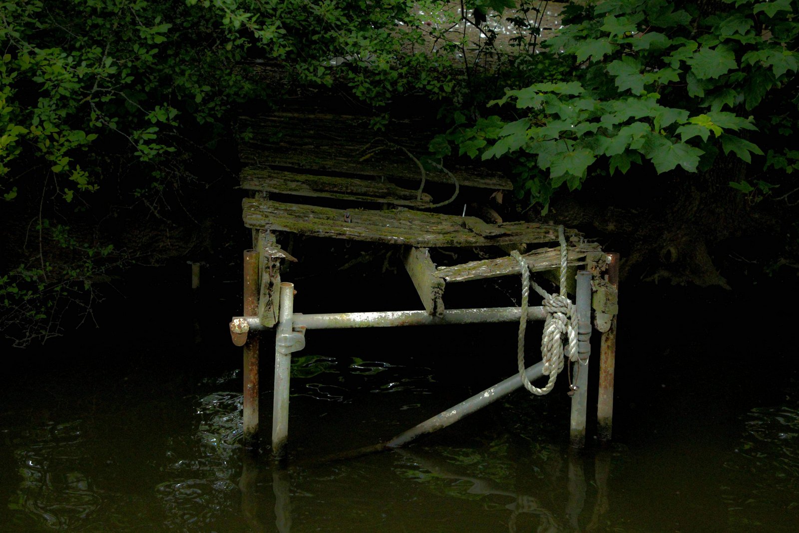 Forgotten Thames Jetty.jpg