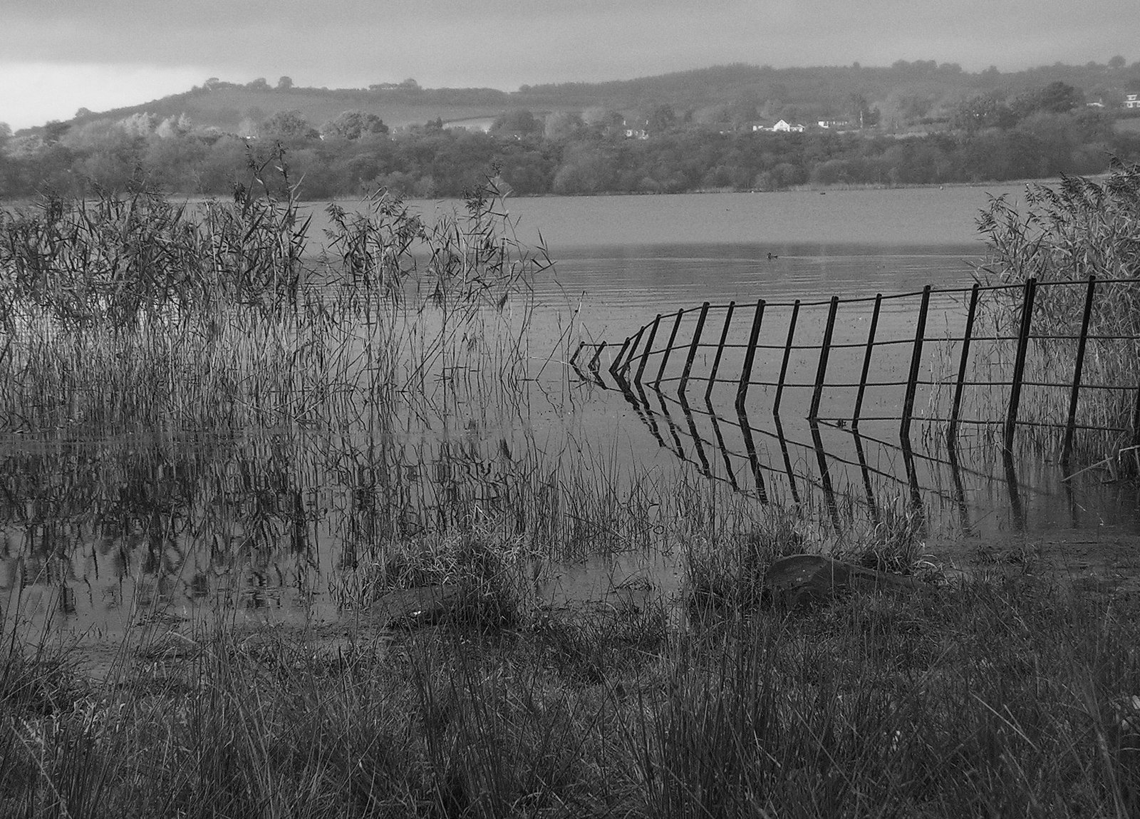 Llangorse Lake.jpg