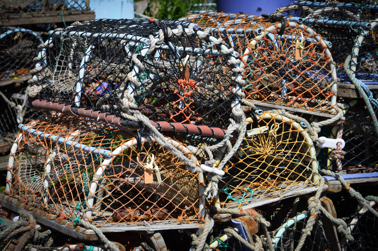 Lobster Pots.jpg