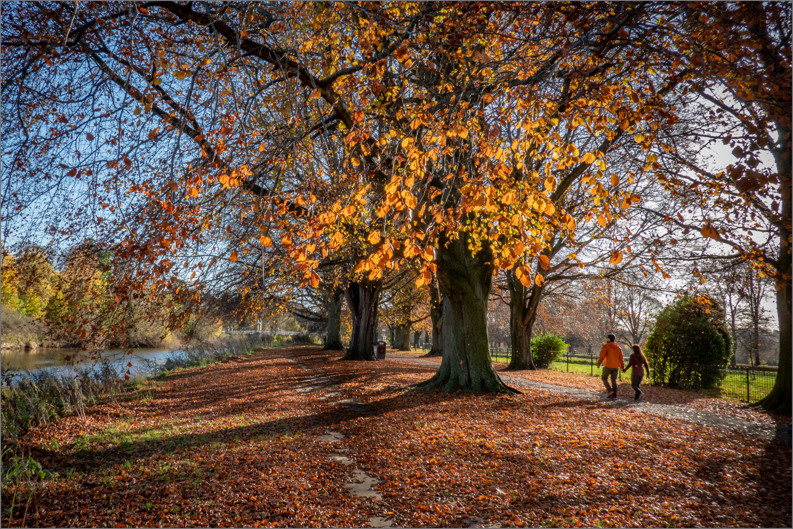 An Autumn Walk along the Wye.jpg