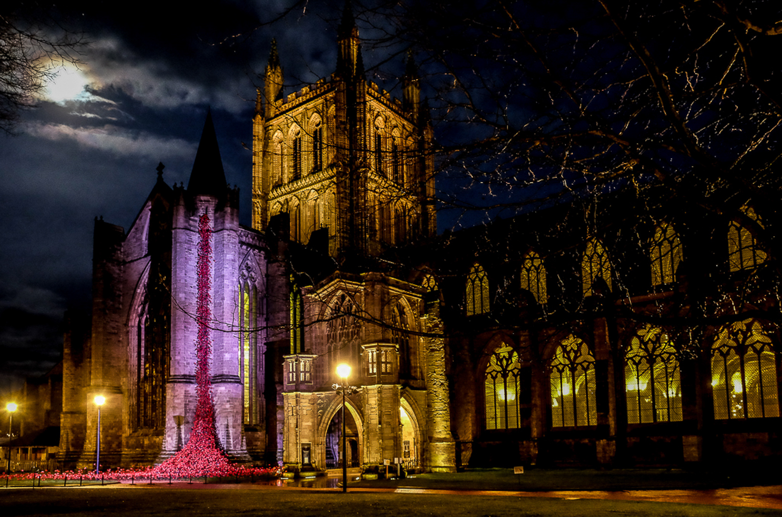 Weeping Window Poppies at Hereford Cathedral.jpg