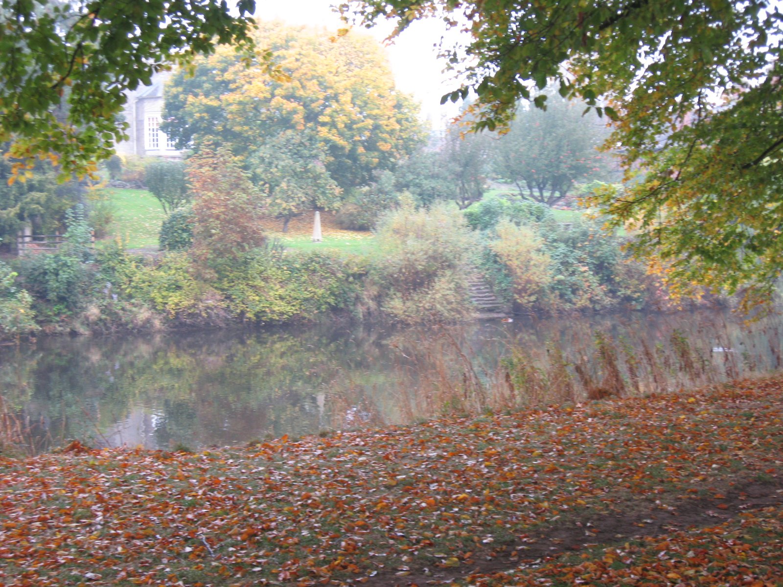 A misty day by the Wye.JPG