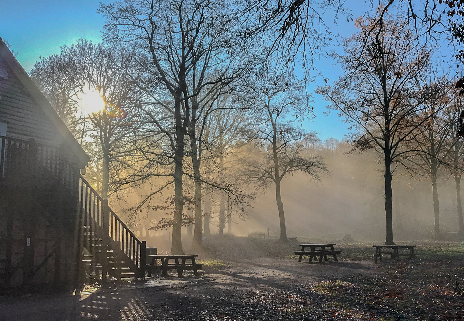 Autumnal morning in the park.jpg
