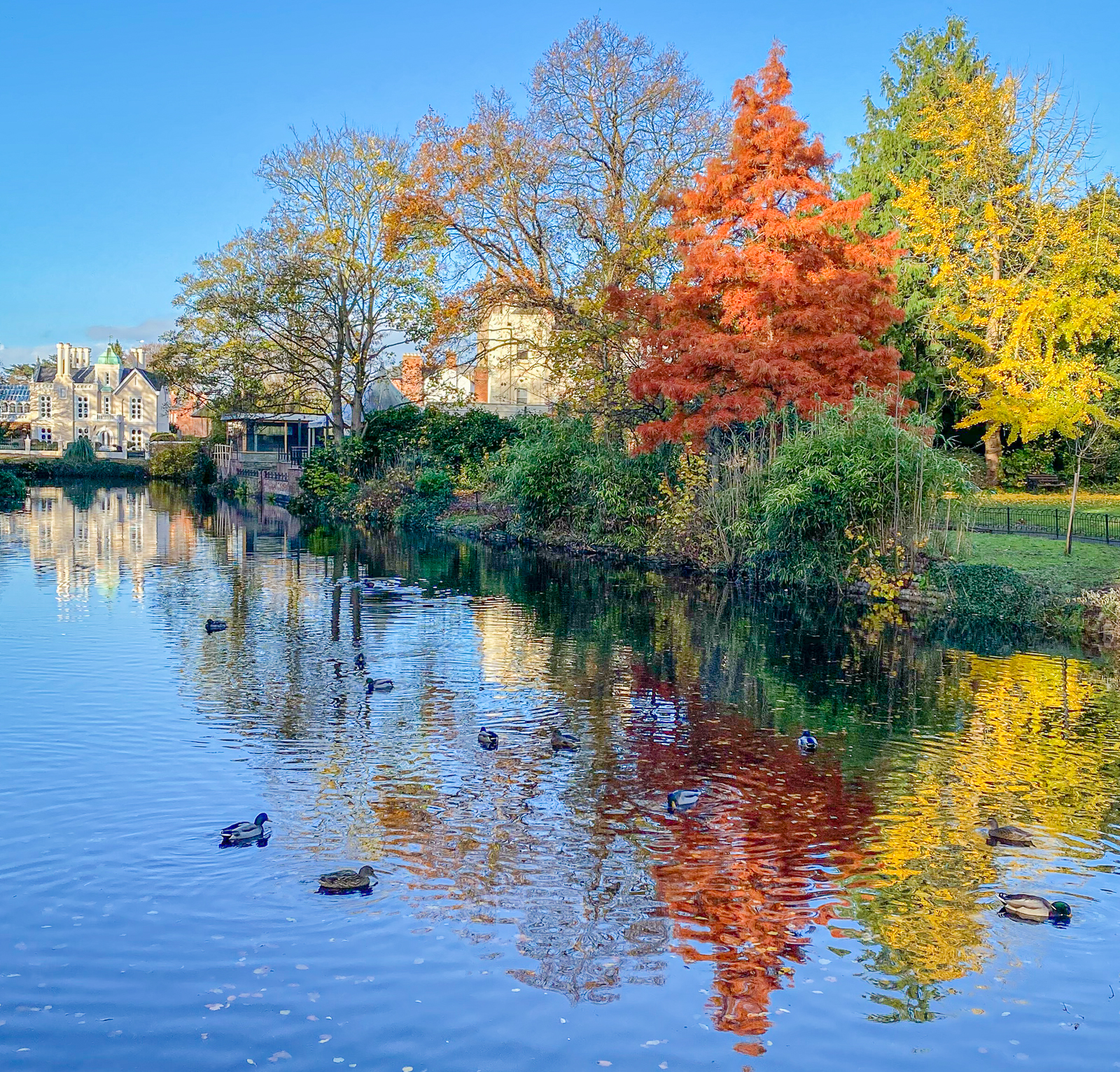 Peace on Castle Pool _1 of 1_.jpg