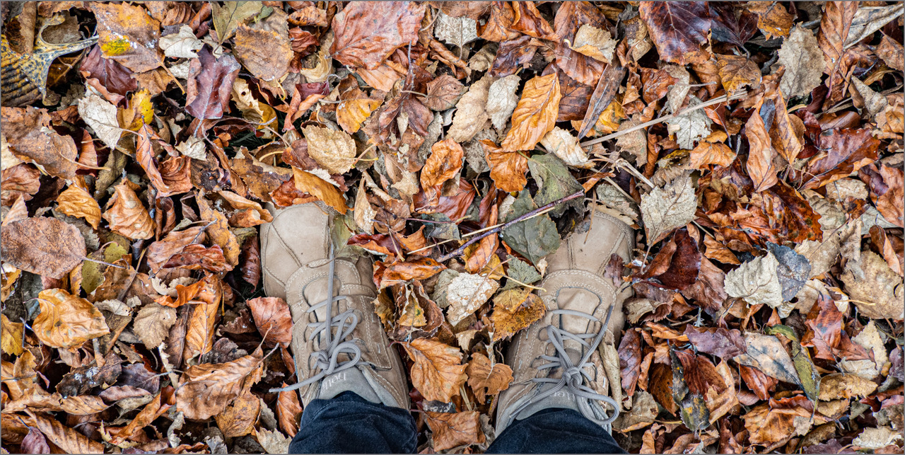 These boots are made for walking.jpeg