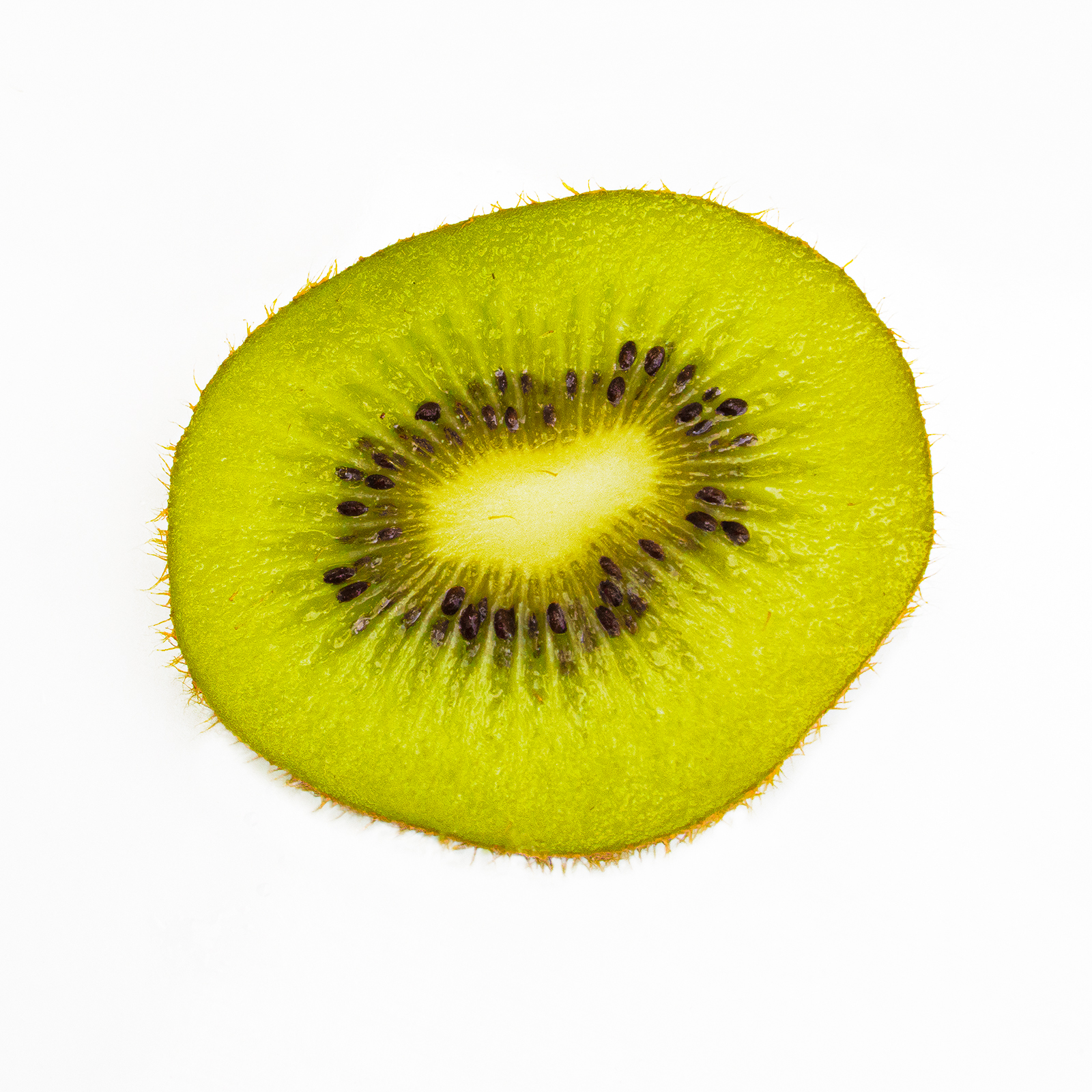 Kiwi.jpg