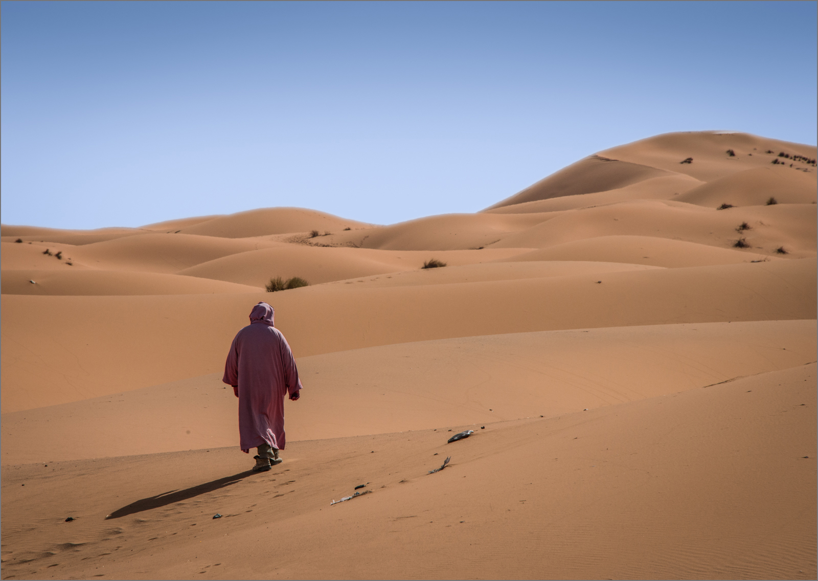 Desert Walker.jpg
