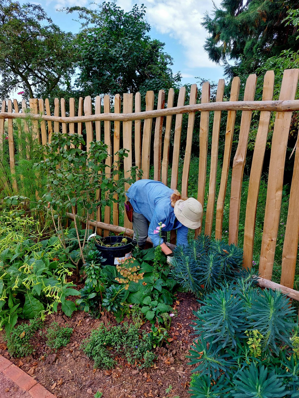 The Lone Gardener.jpg