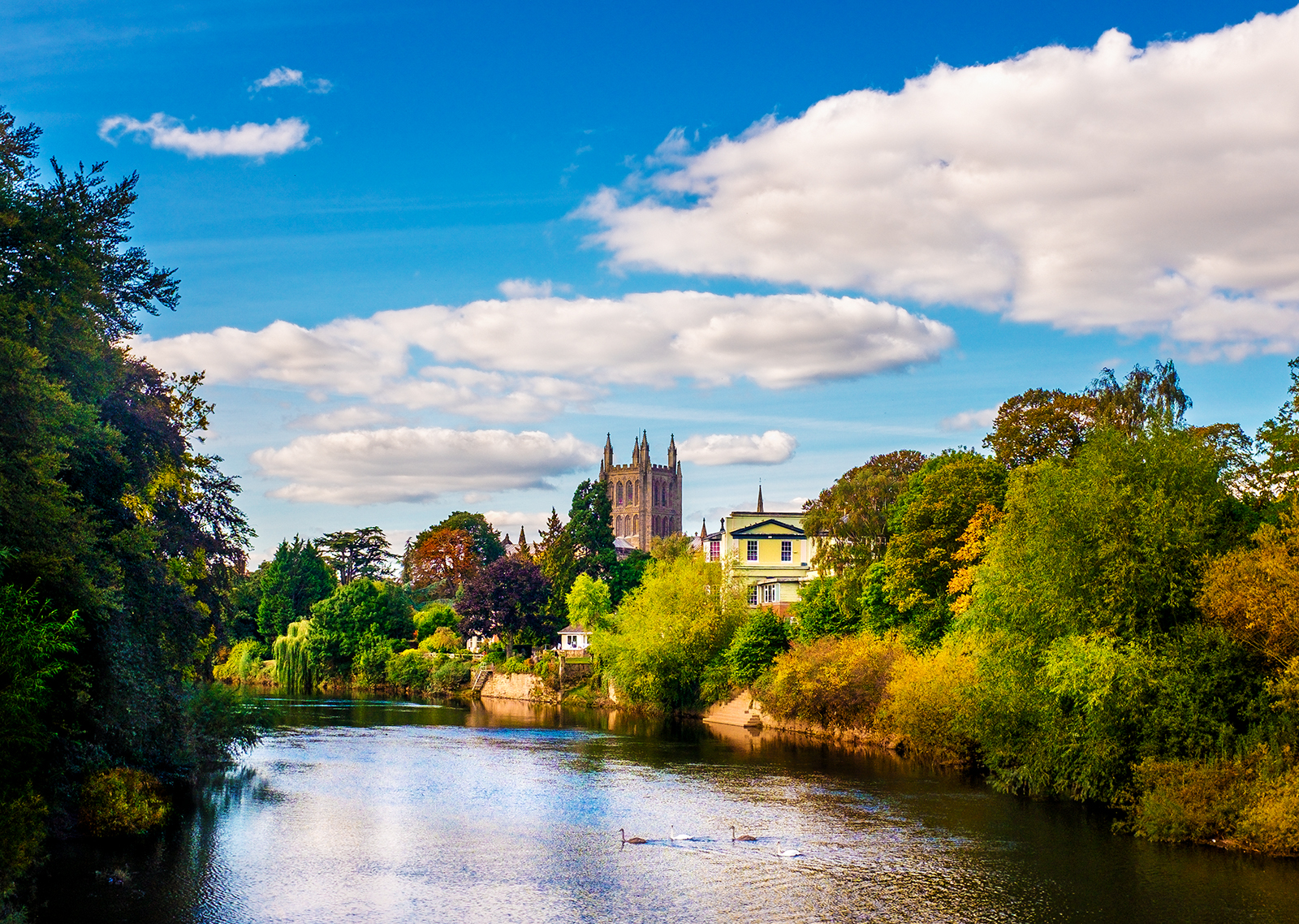 Trees by the Wye.jpg