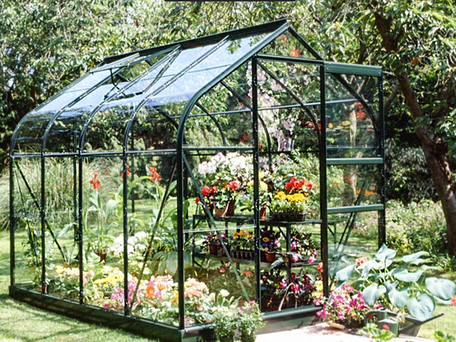 Greenhouse.jpg