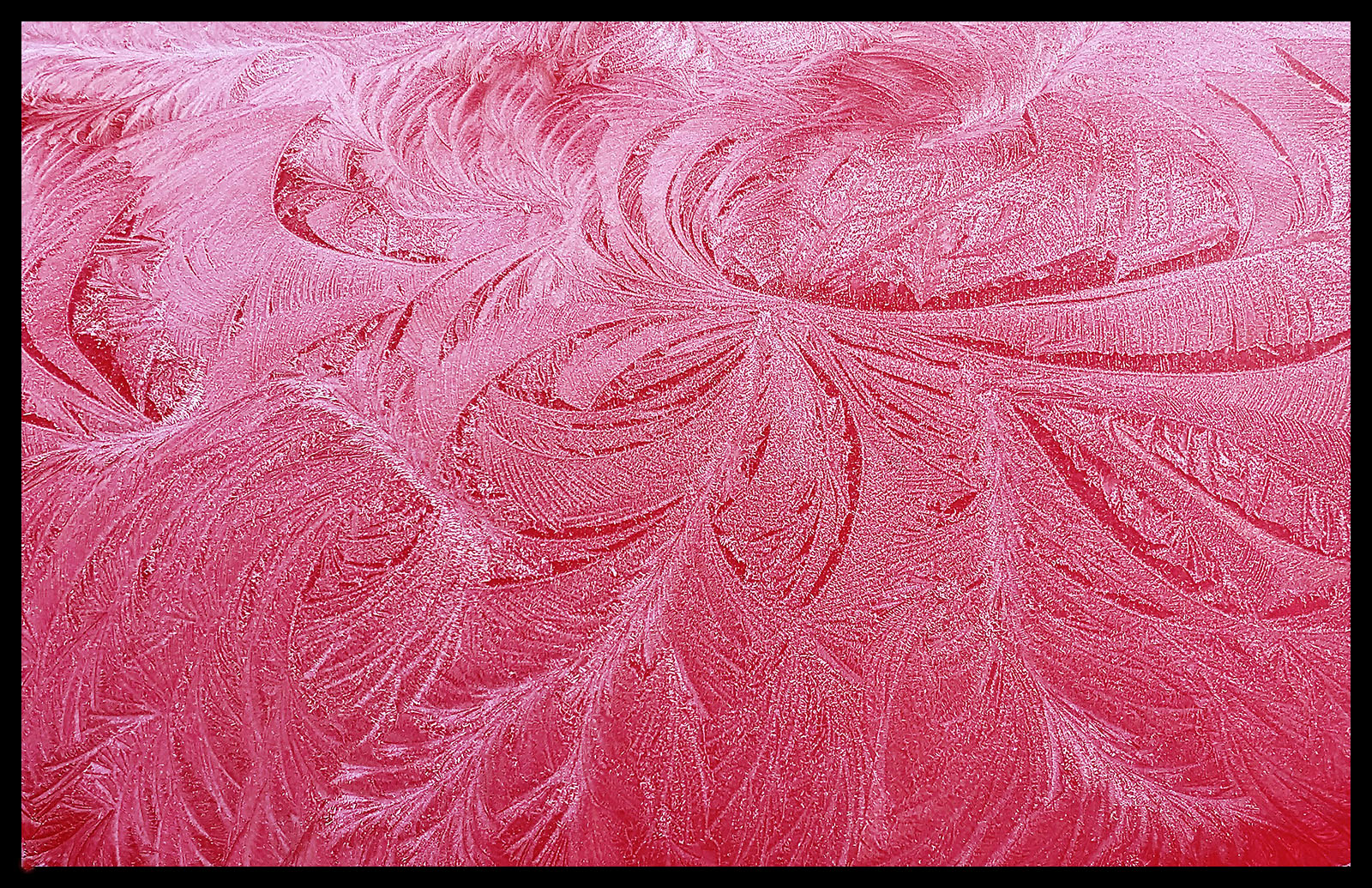 frost patterns on car bonnet.jpg