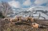 Longtown