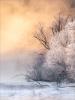 Frosty Dawn